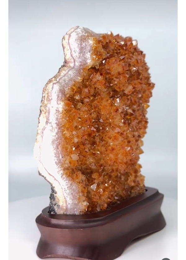 Sitrin (Özel Sipariş)